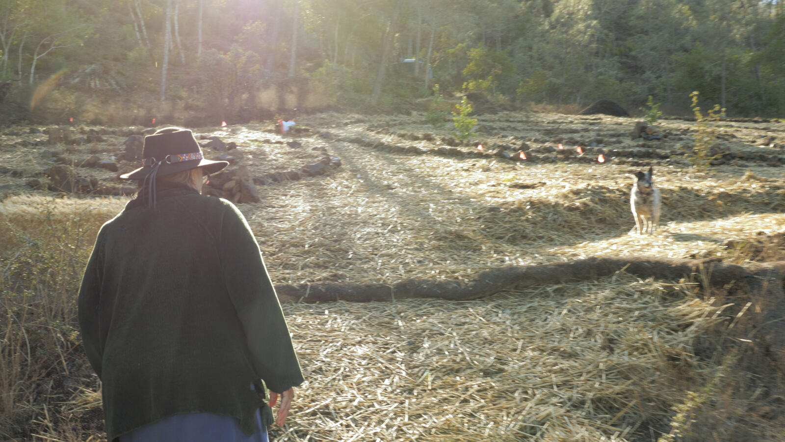 Visiting Suskol House