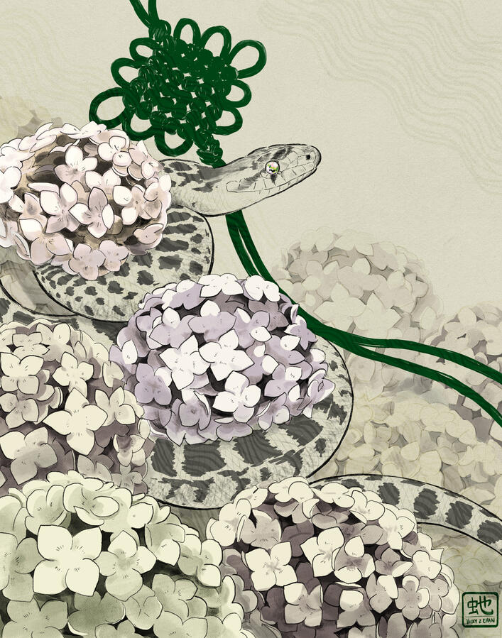 Year of the Snake