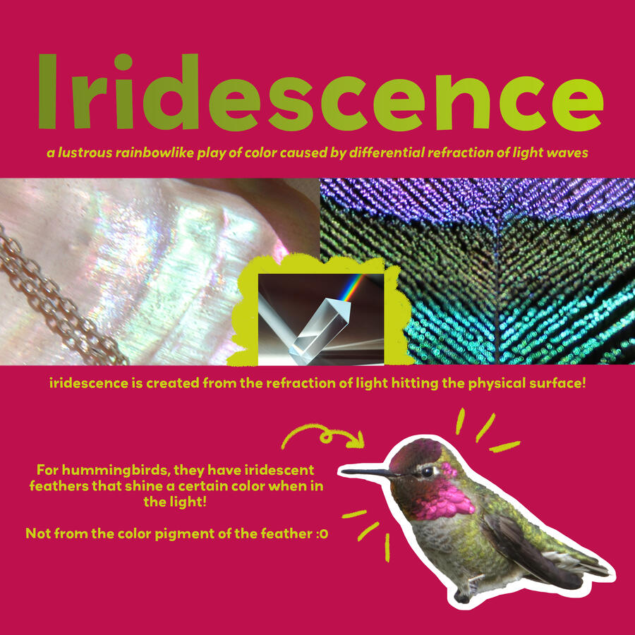 Iridescence in Hummingbirds